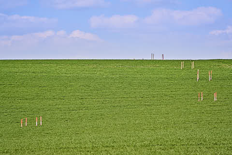 Gemeinde Reischach Landkreis Altötting Ecking Richtung Niederaich Feld (Dirschl Johann) Deutschland AÖ